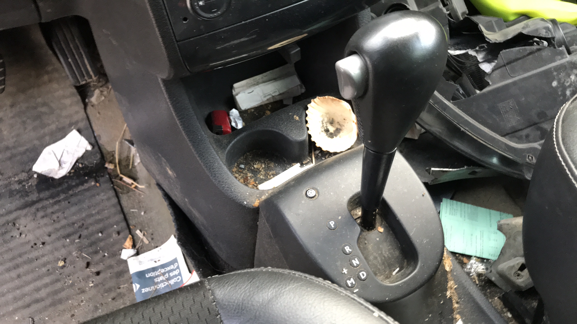 Image RENAULT GRAND MODUS