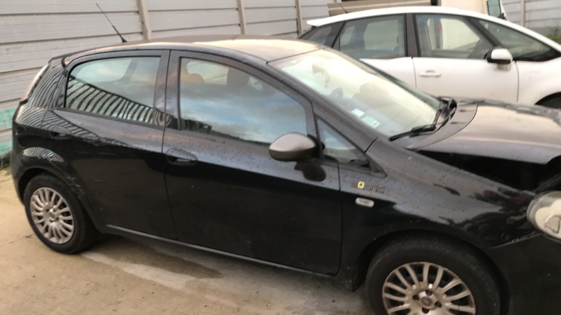 Image FIAT PUNTO 3