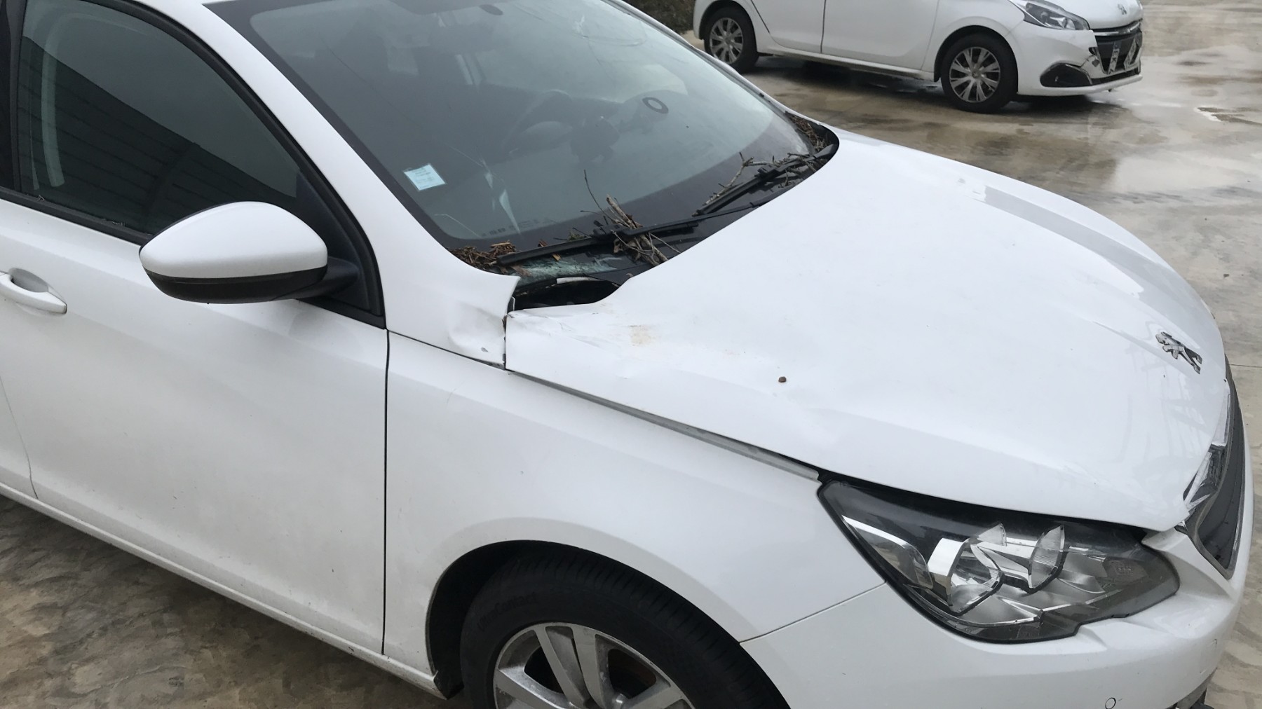Image PEUGEOT 308 2