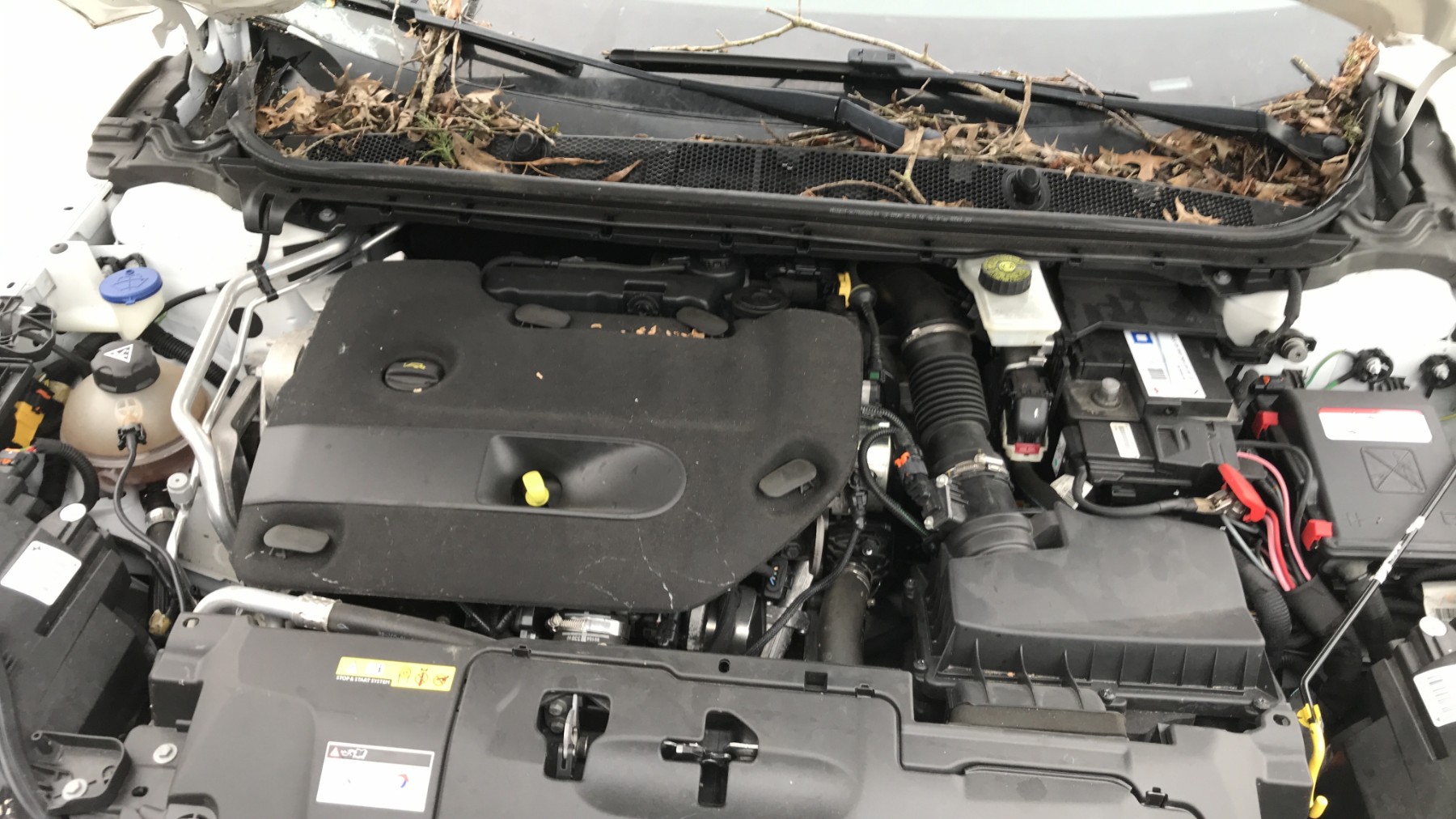 Image PEUGEOT 308 2