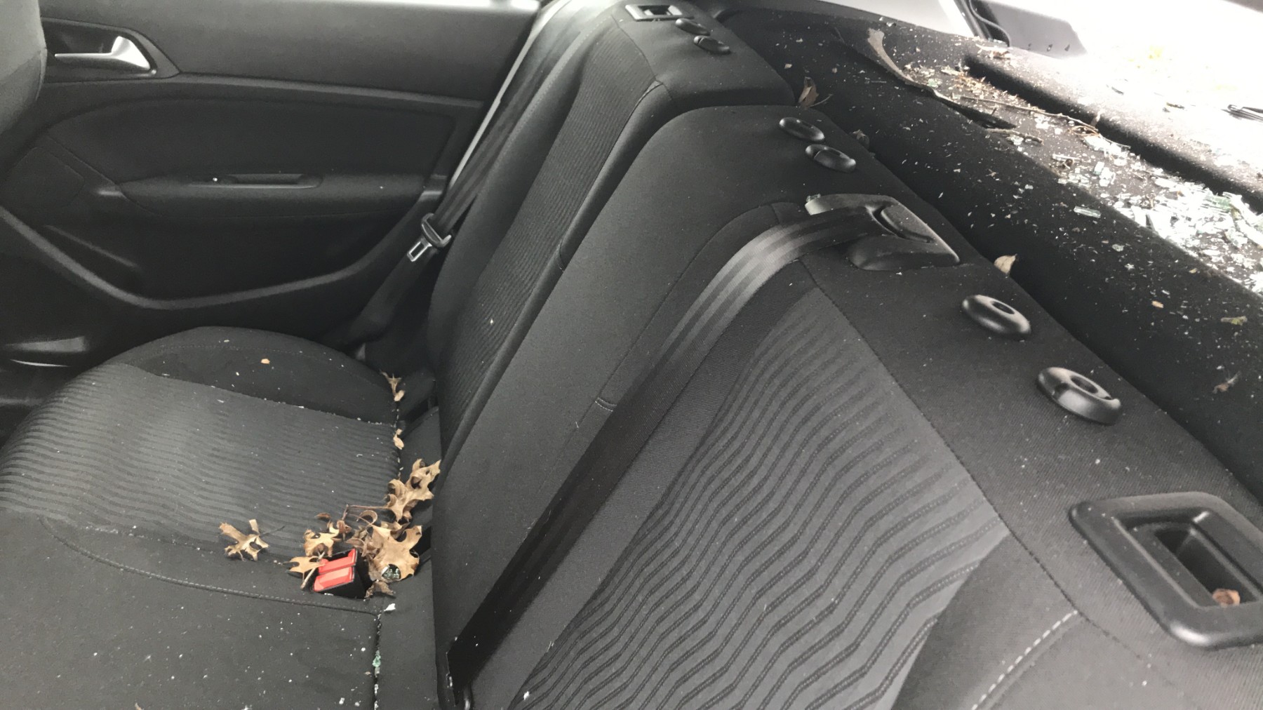 Image PEUGEOT 308 2