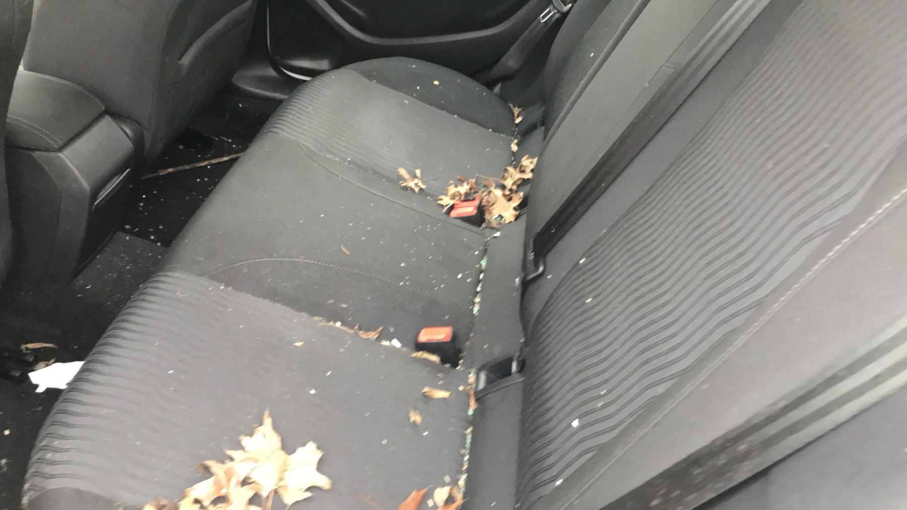 Image PEUGEOT 308 2