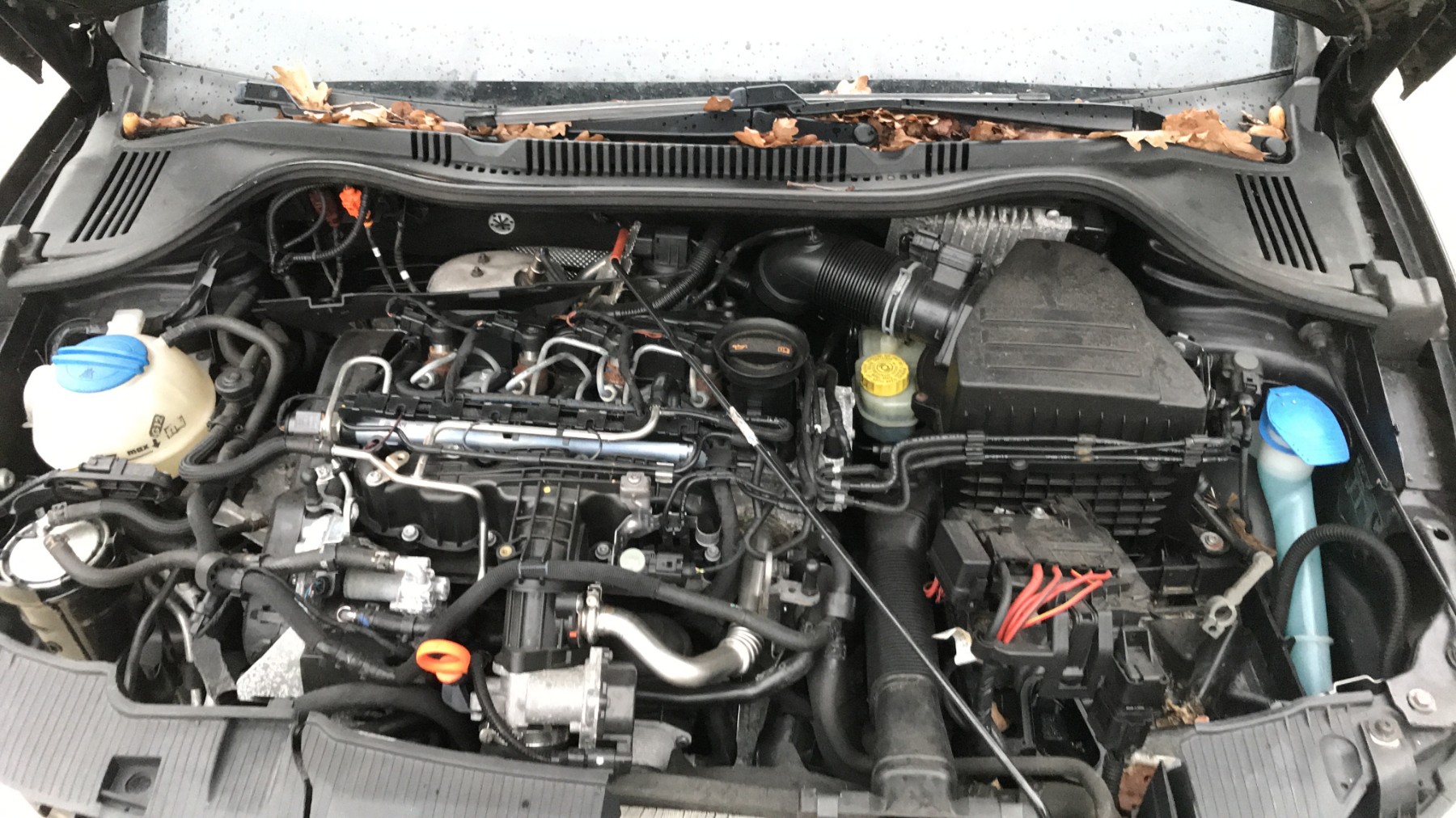 Image SEAT IBIZA 4