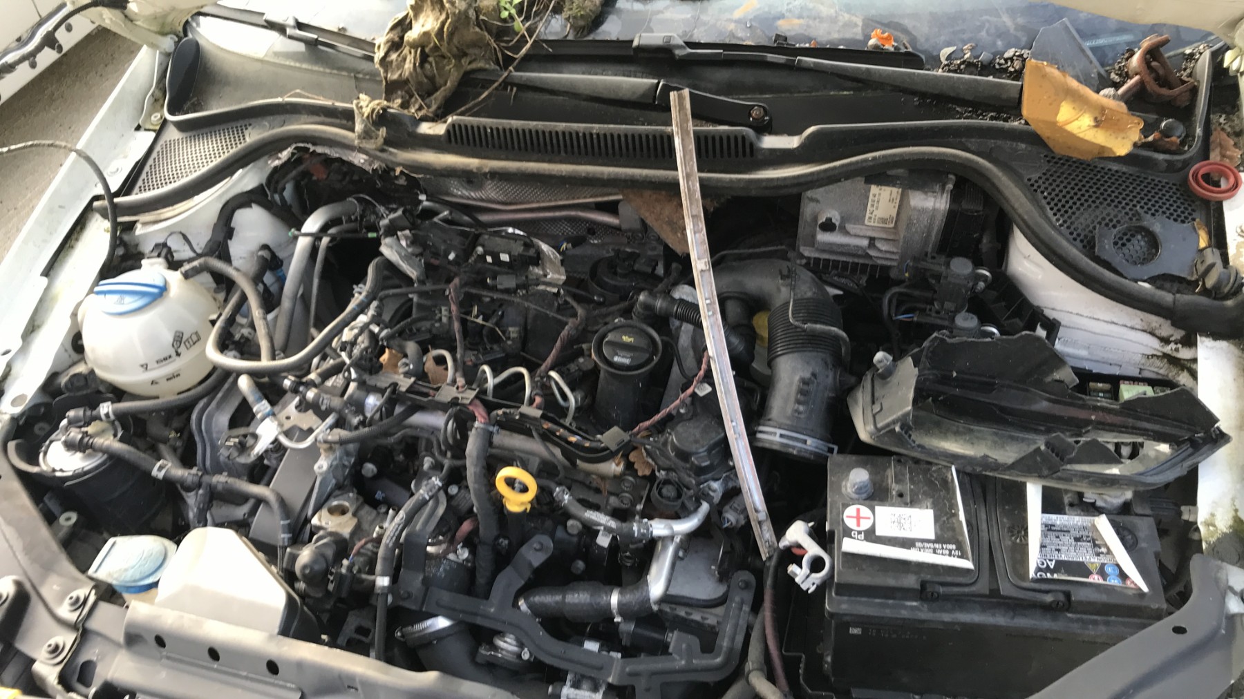 Image VOLKSWAGEN POLO 5