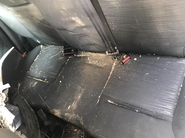 Image PEUGEOT 208 1