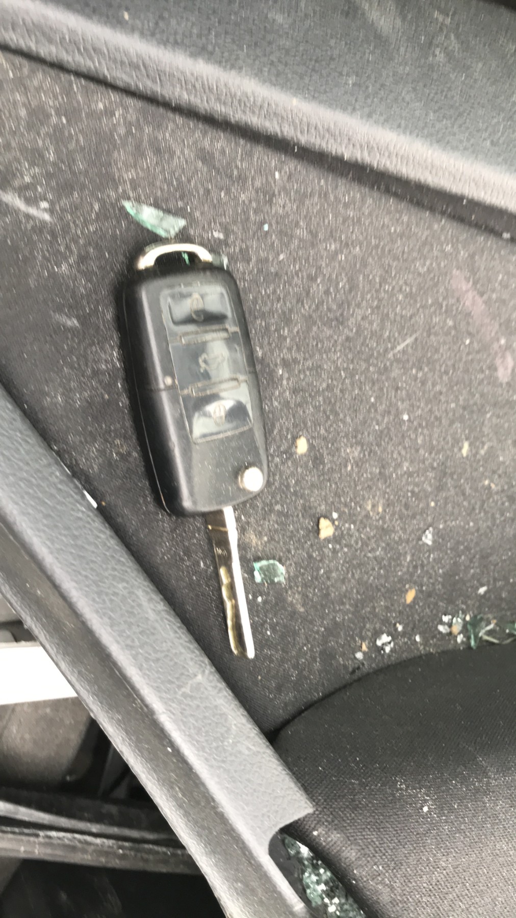 Image VOLKSWAGEN TIGUAN 1