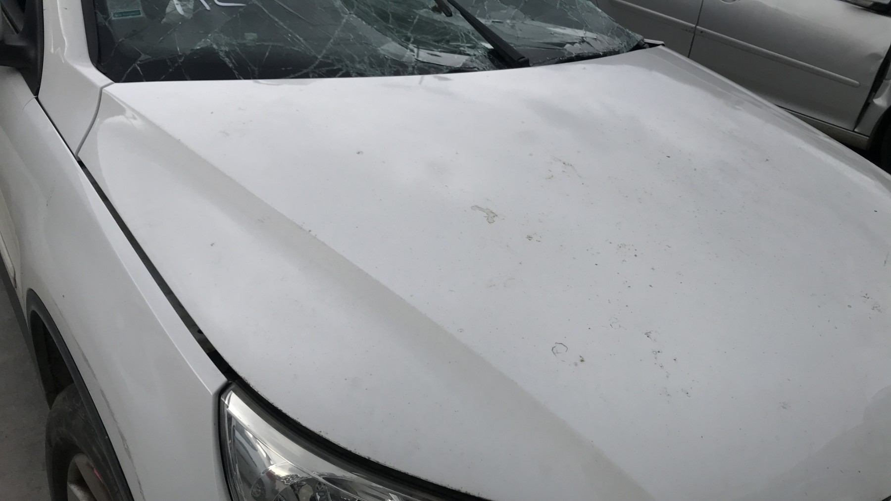 Image VOLKSWAGEN TIGUAN 1