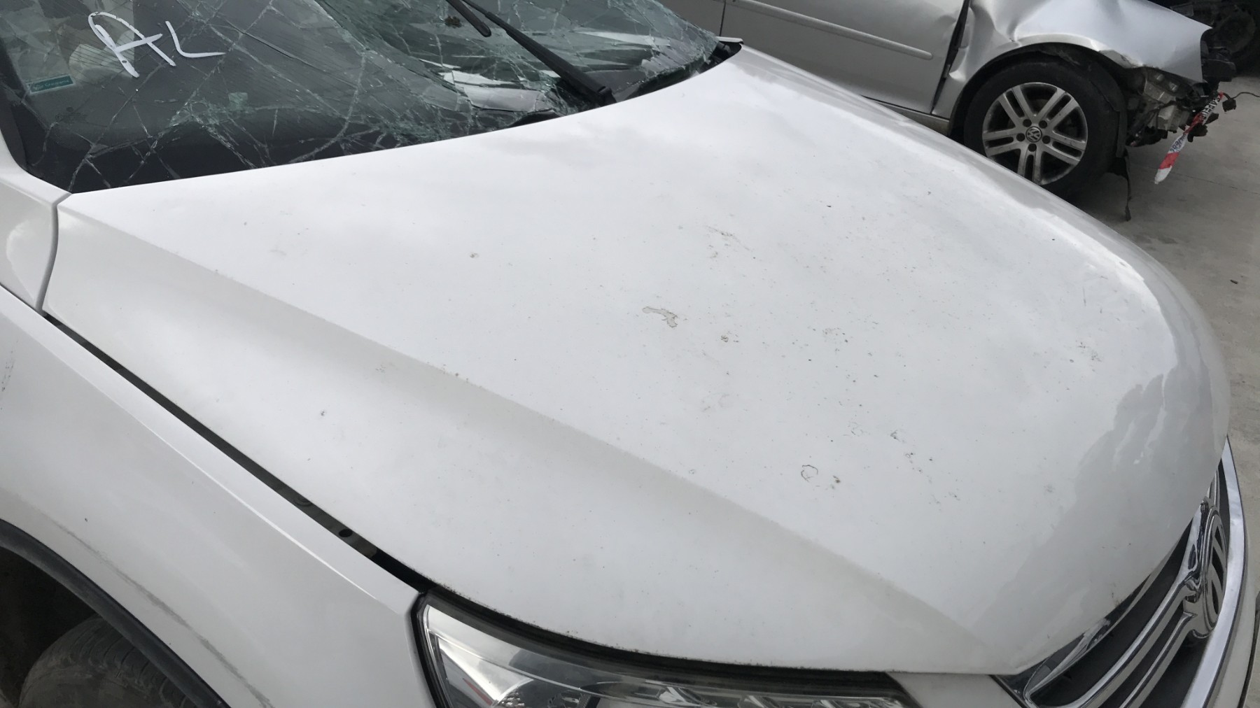 Image VOLKSWAGEN TIGUAN 1
