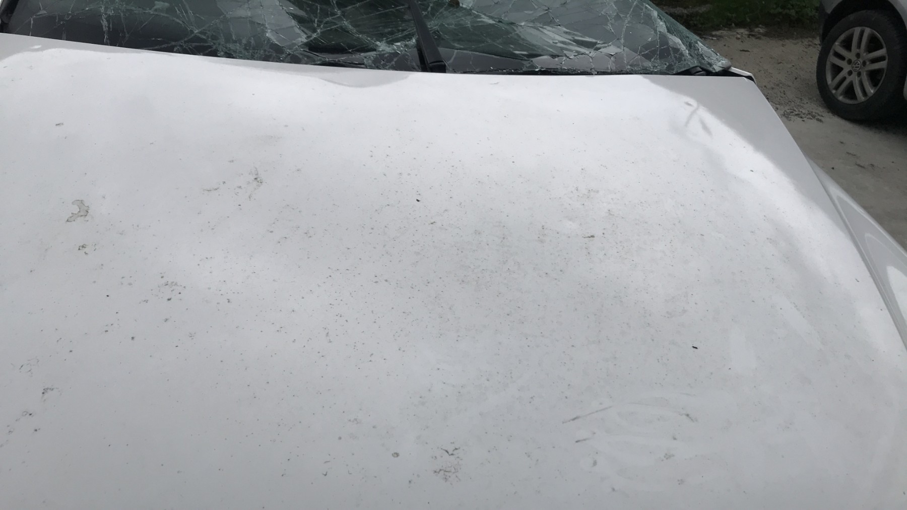 Image VOLKSWAGEN TIGUAN 1