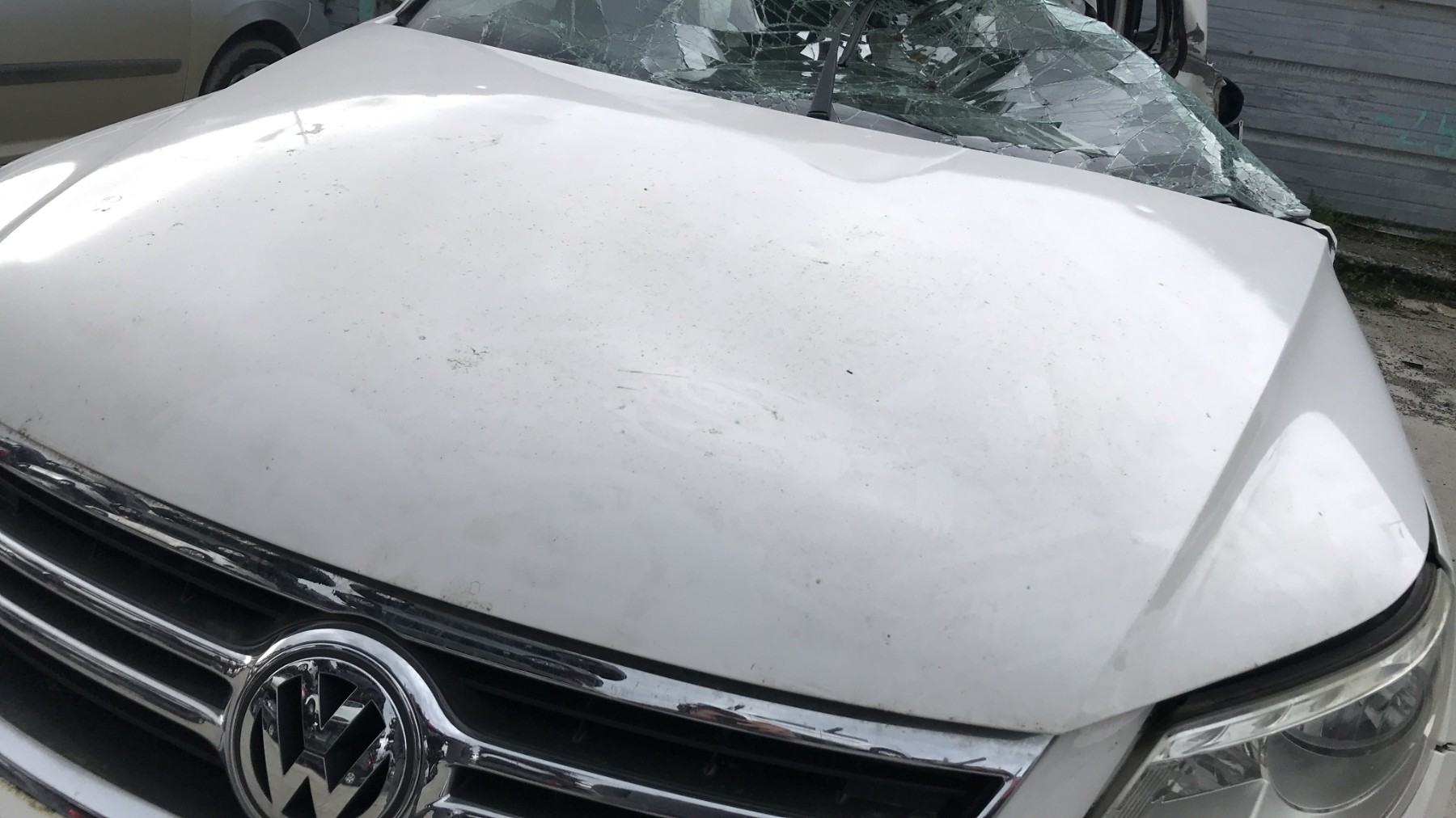 Image VOLKSWAGEN TIGUAN 1
