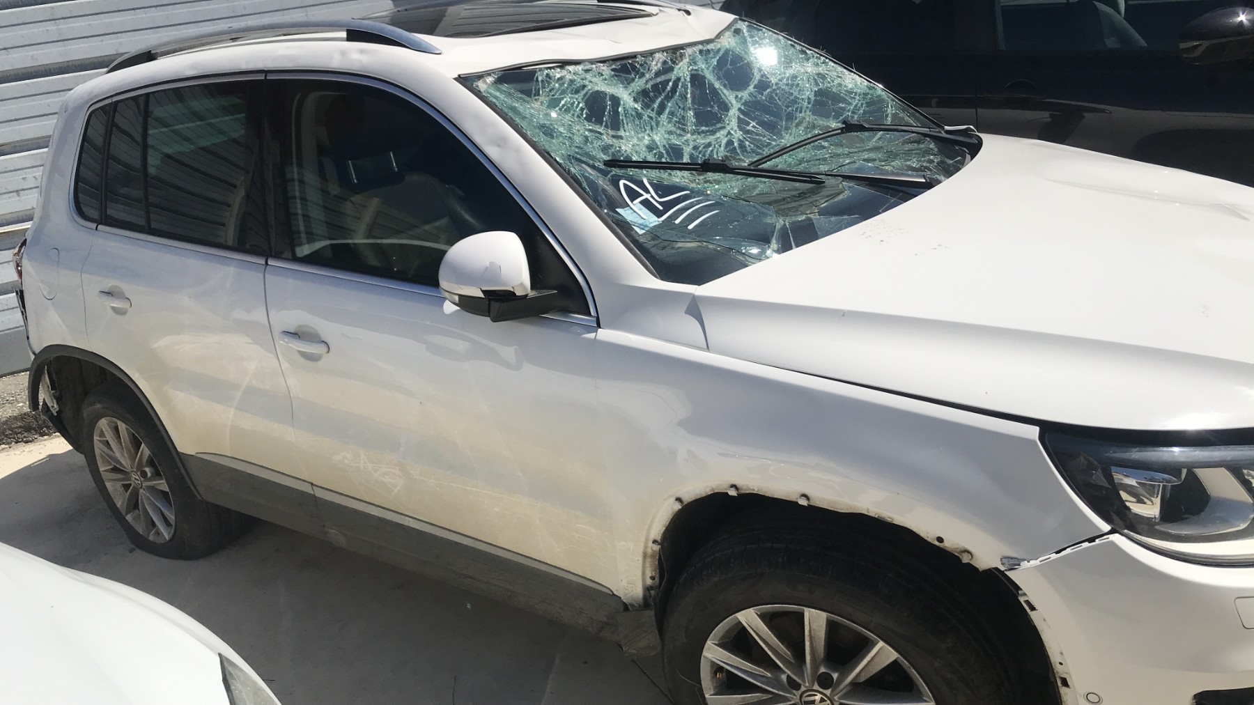 Image VOLKSWAGEN TIGUAN 1