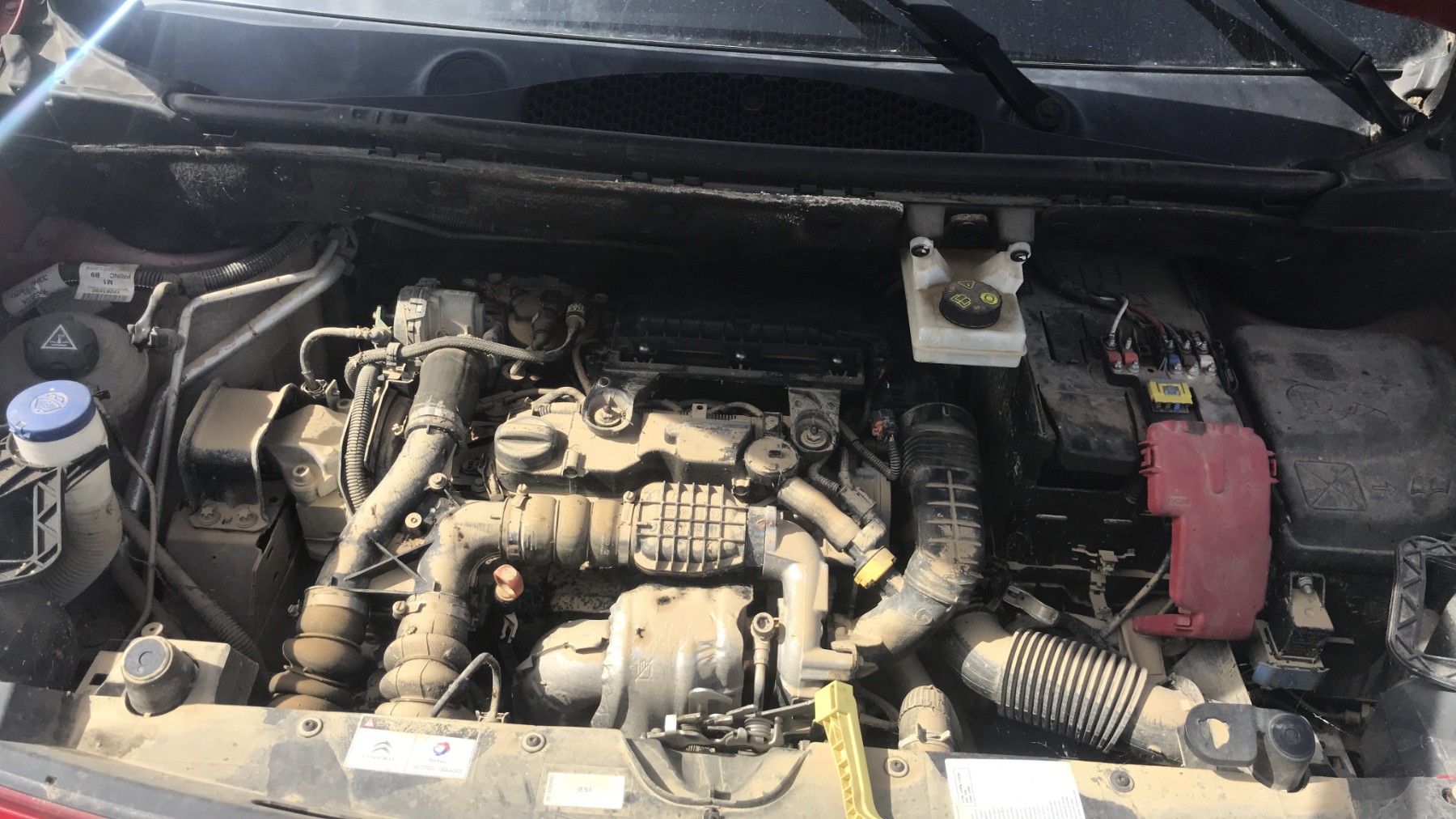 Image DANGEL BERLINGO 2