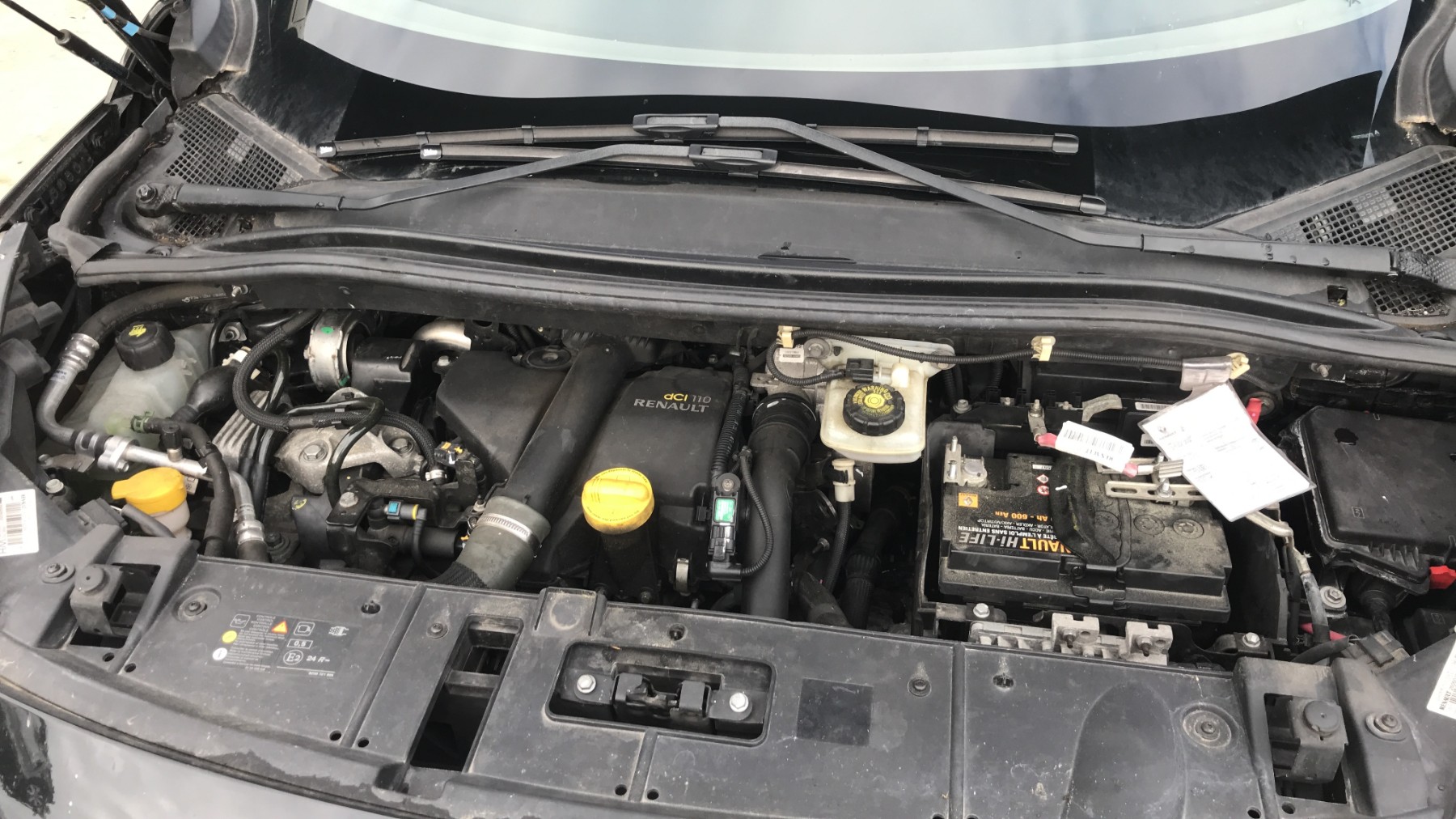 Image RENAULT SCENIC 3