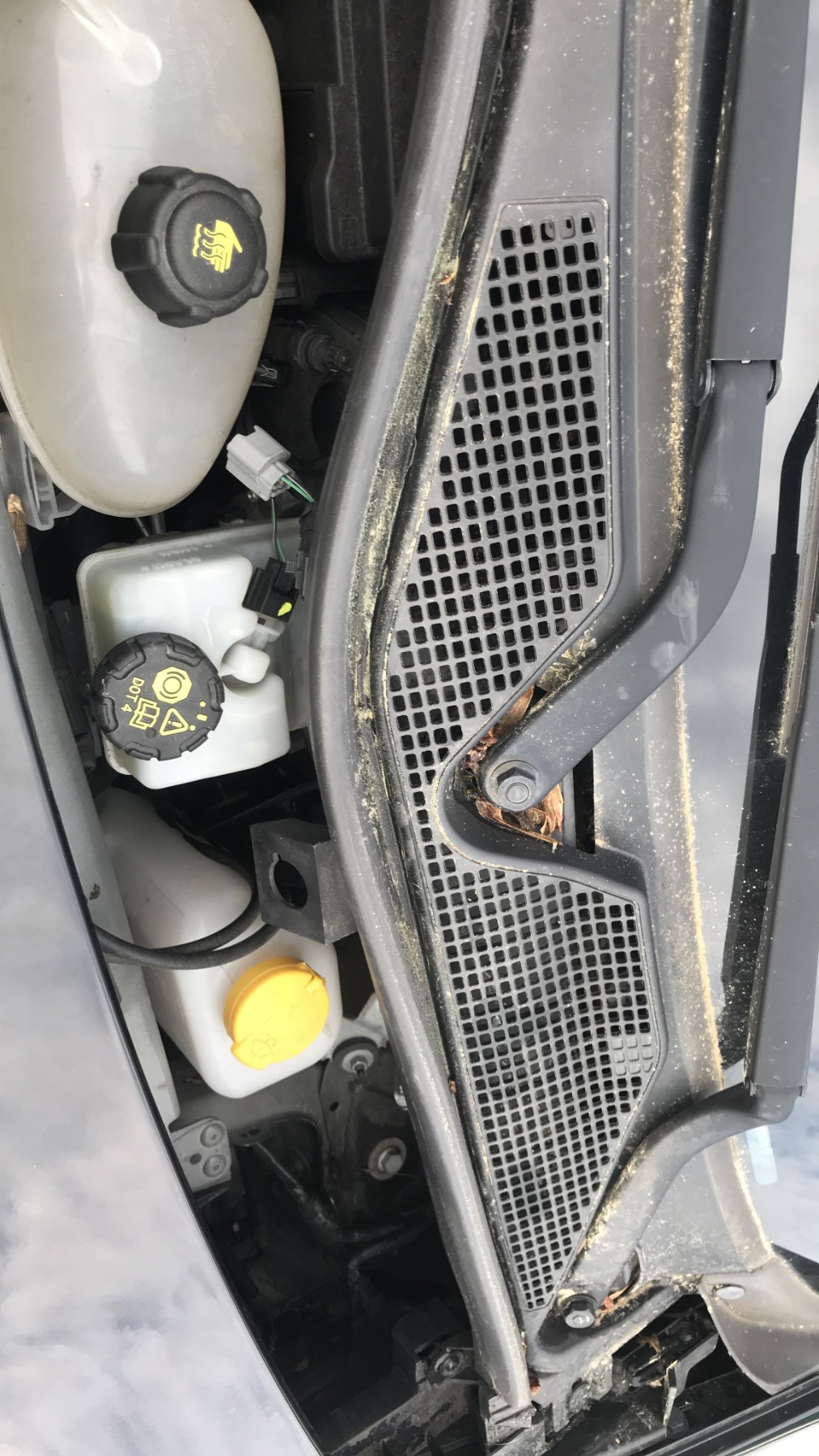 Image RENAULT TWINGO 3