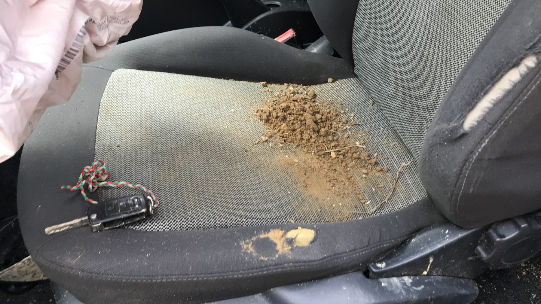 Image SEAT IBIZA 4