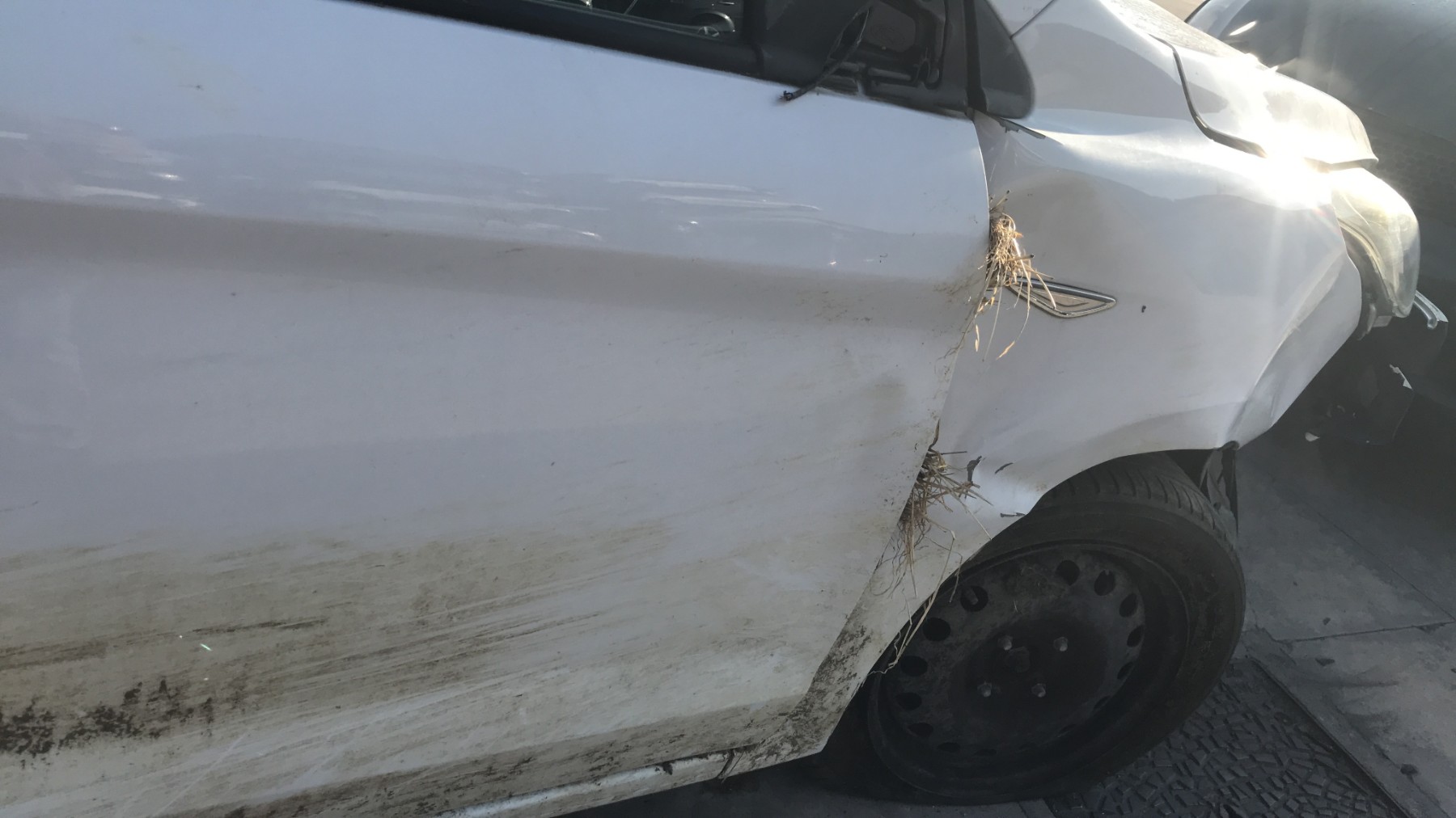 Image FORD KA+