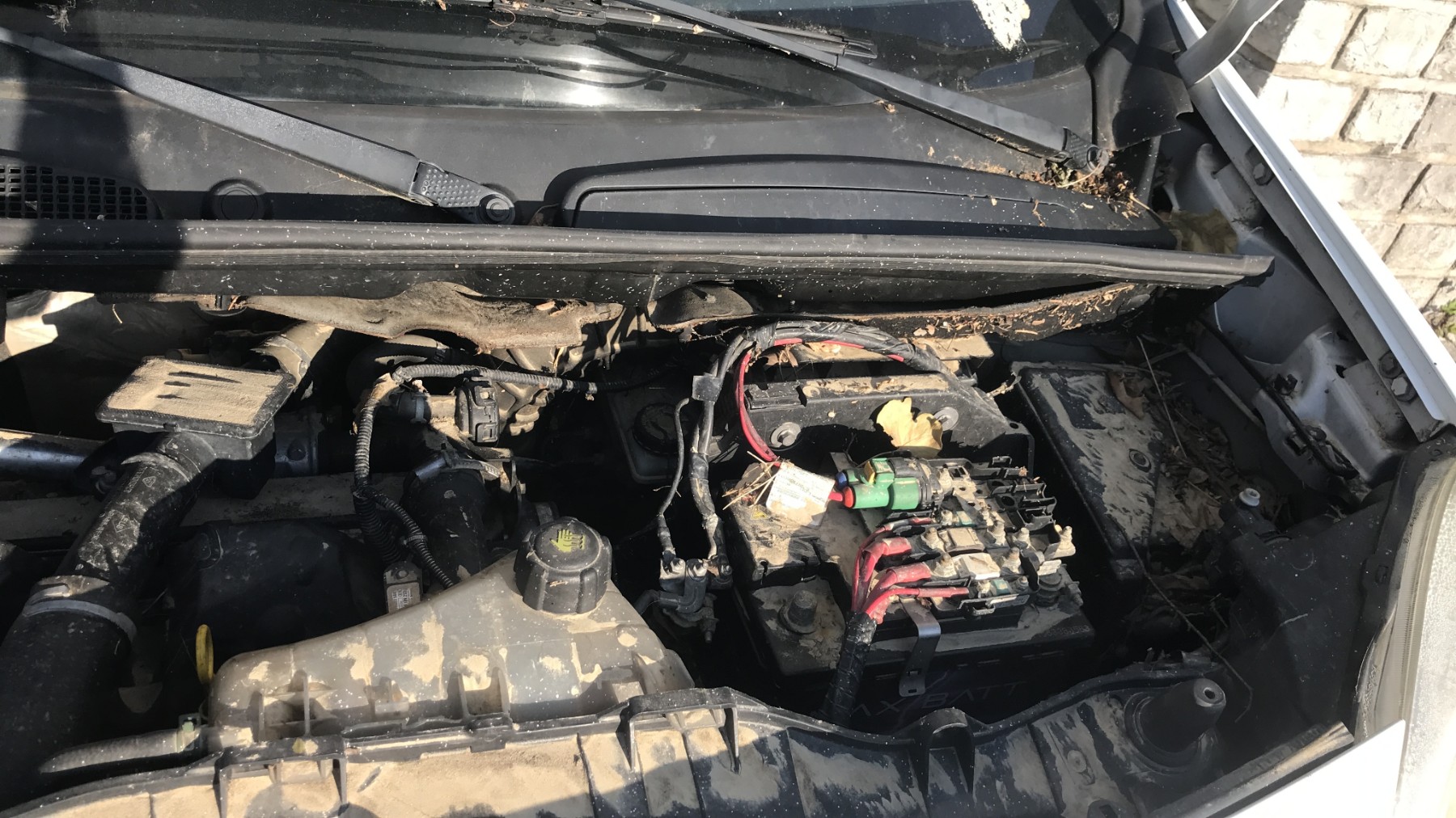 Image RENAULT KANGOO 2