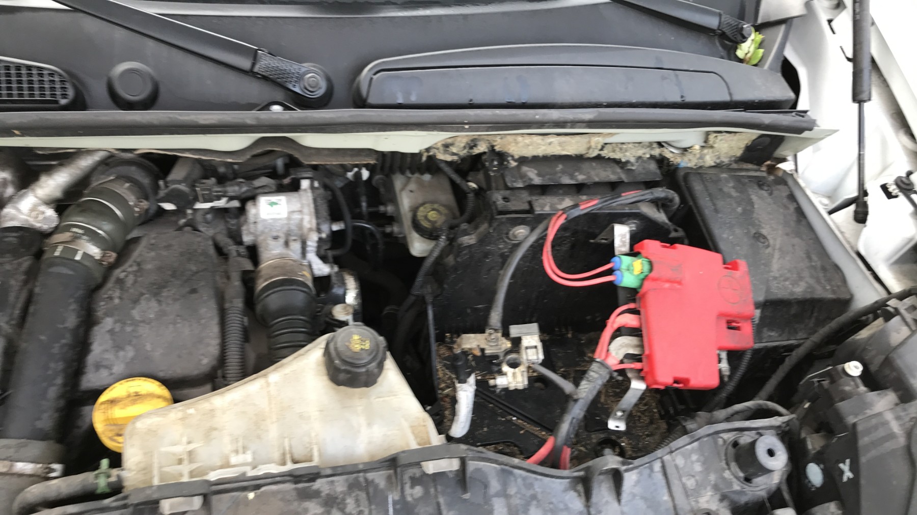 Image RENAULT KANGOO 2