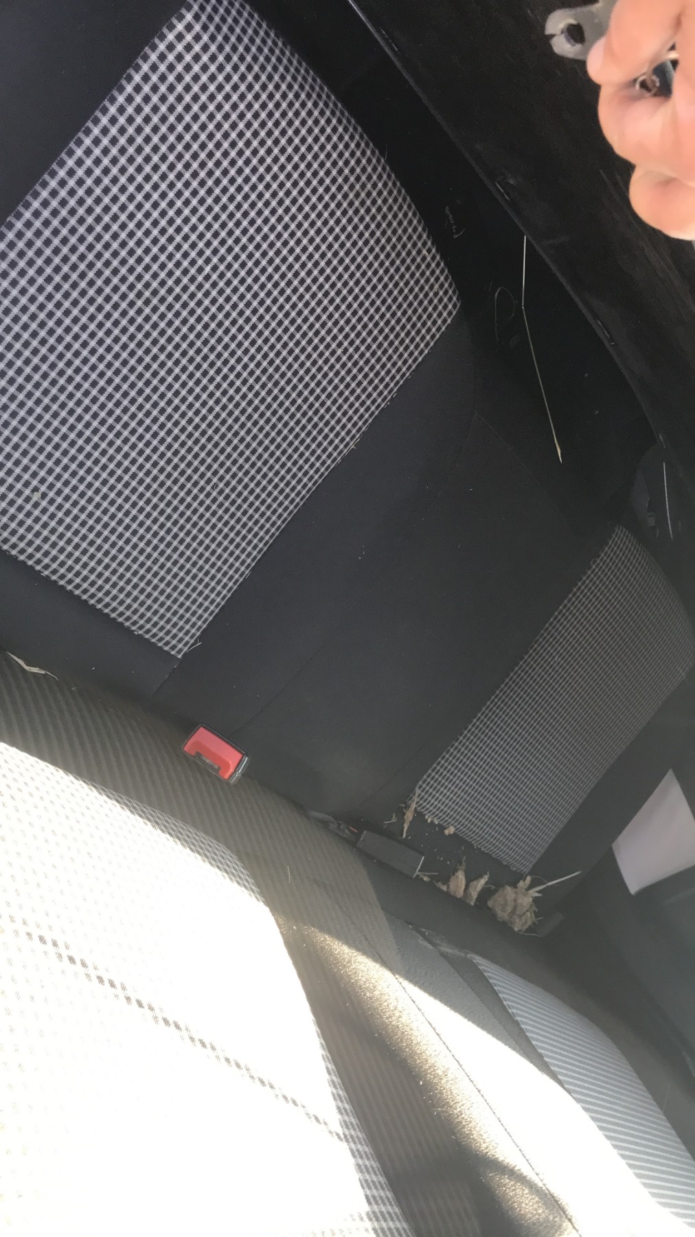 Image RENAULT TWINGO 3