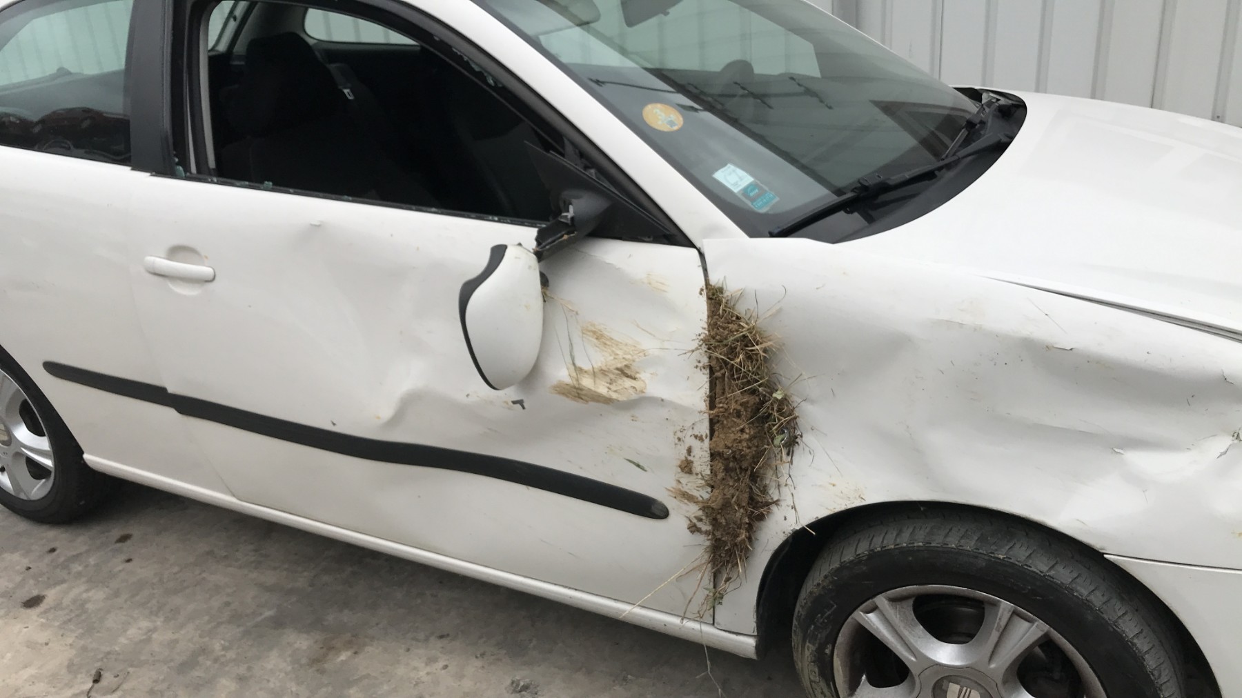 Image SEAT IBIZA 3