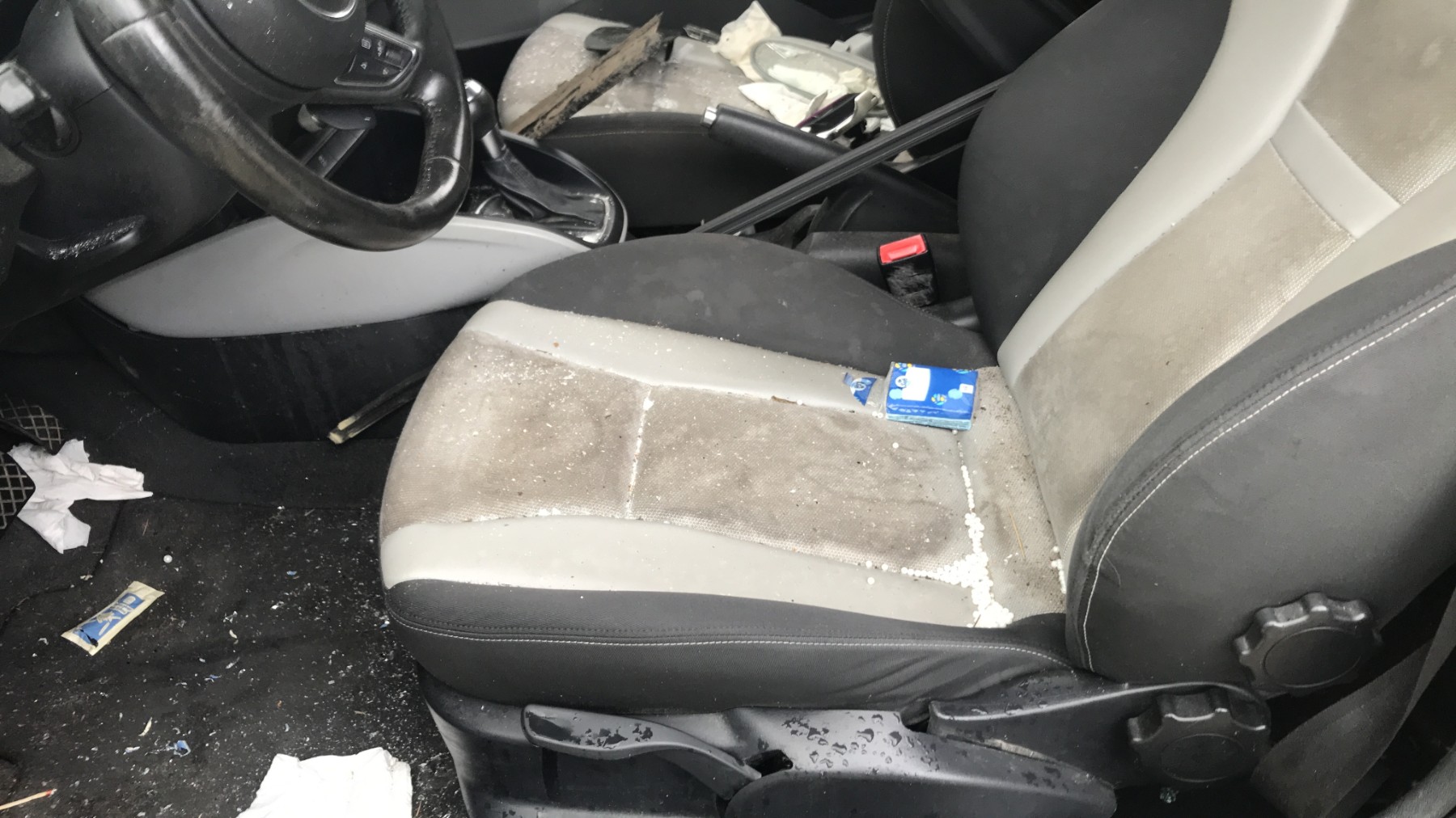 Image AUDI A1 1