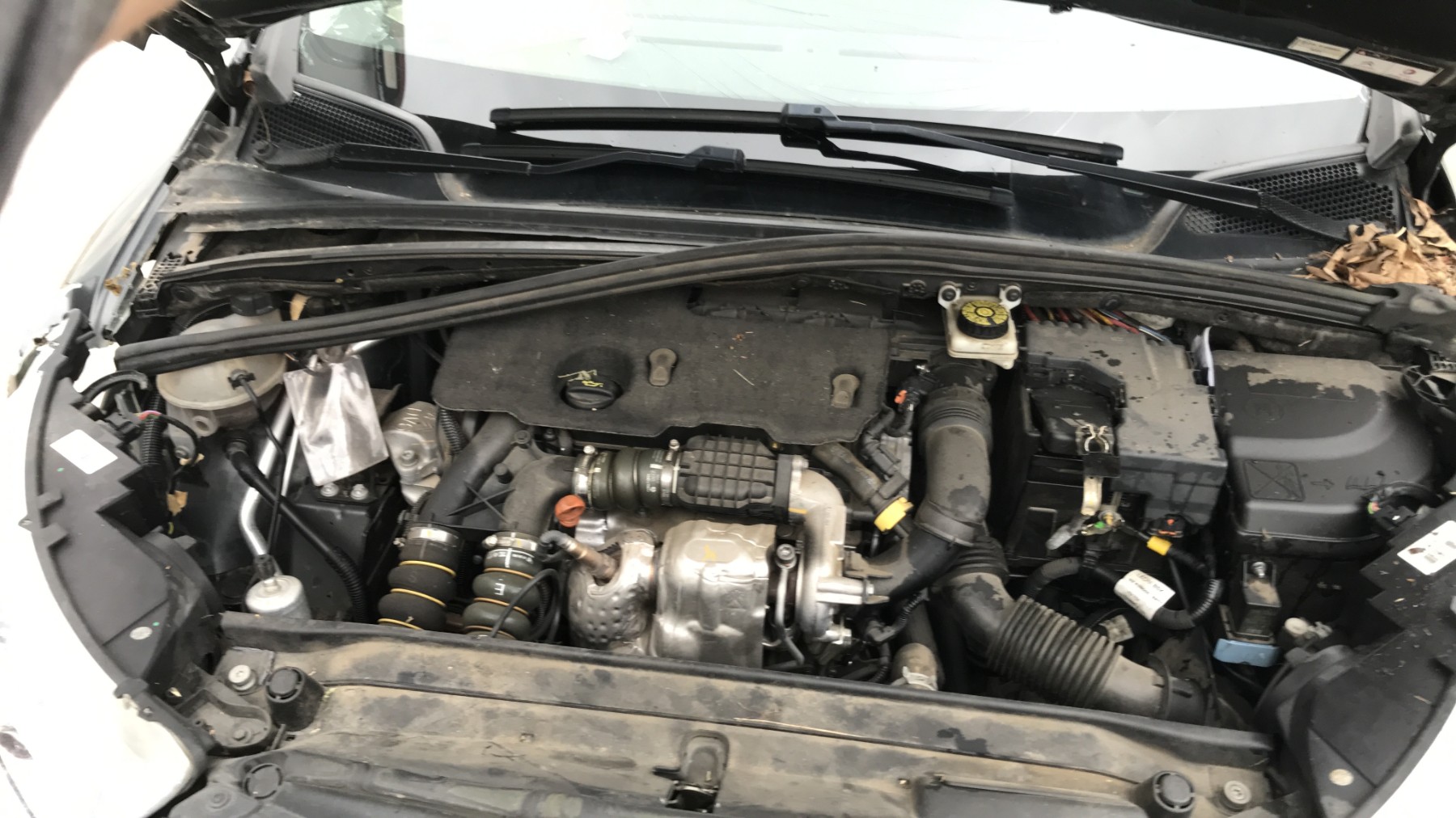 Image CITROEN C4 2