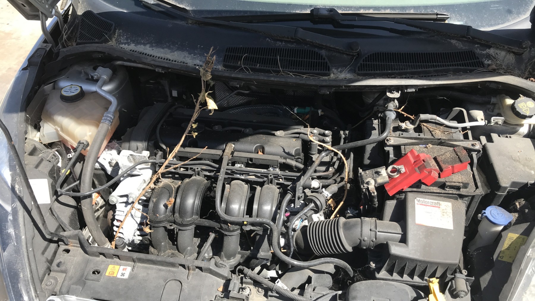 Image FORD FIESTA 6