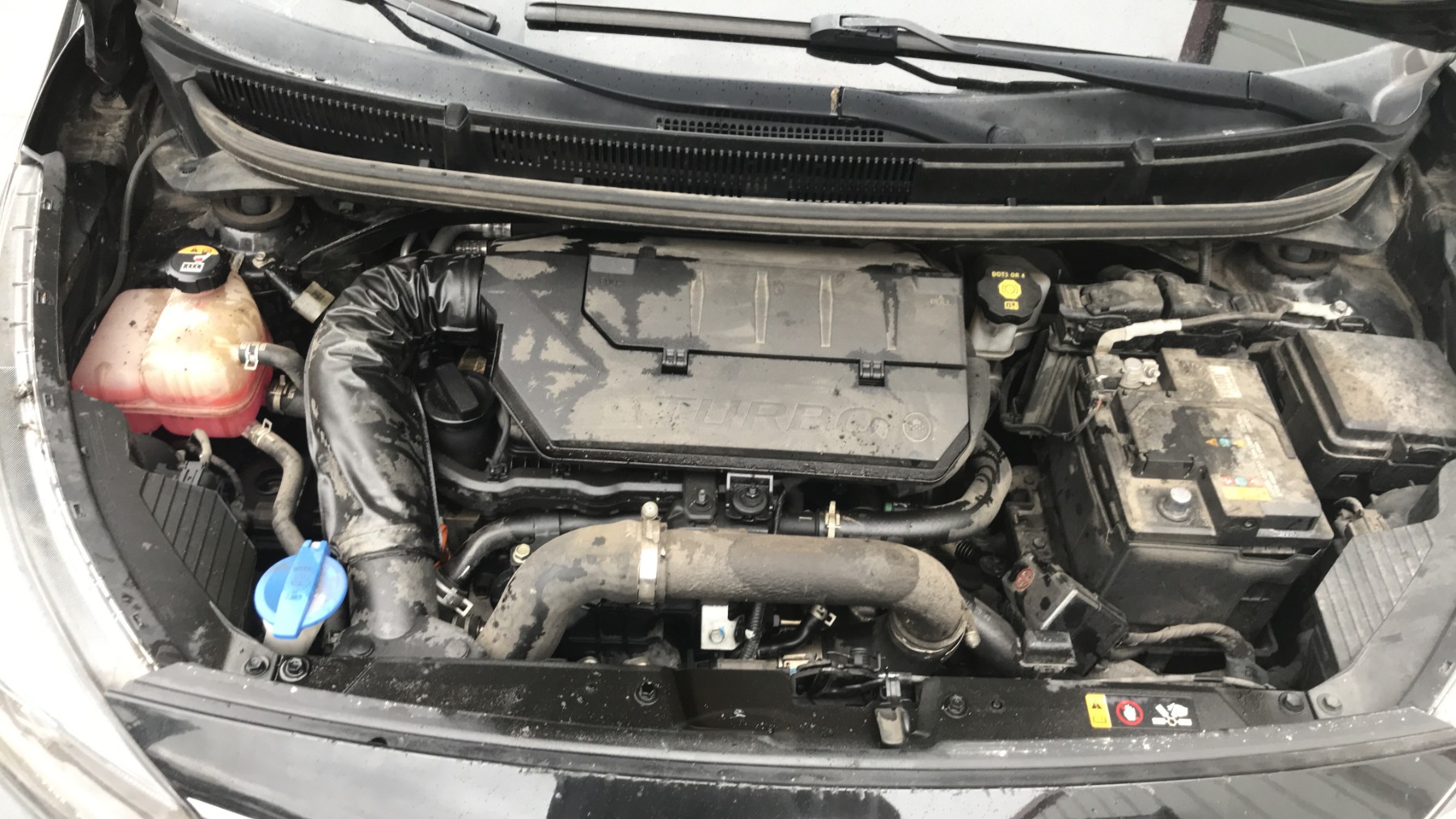 Image KIA PICANTO 3