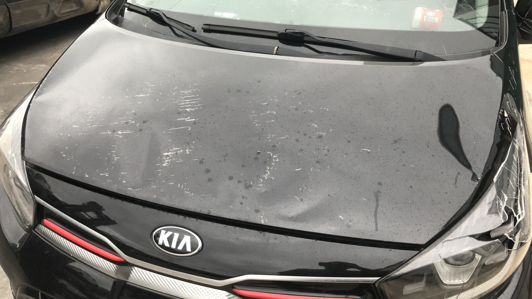 Image KIA PICANTO 3