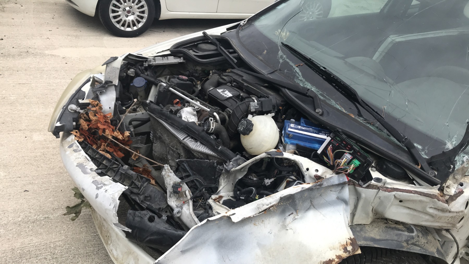 Image PEUGEOT 206