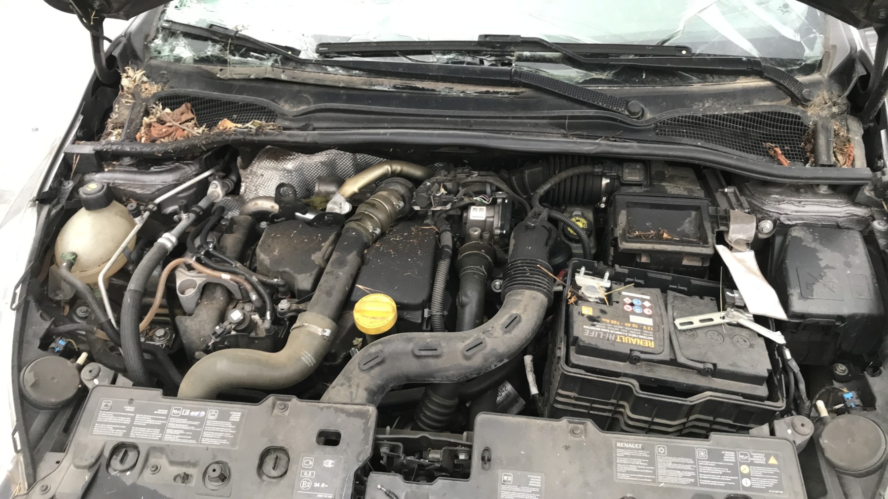 Image RENAULT CLIO 4
