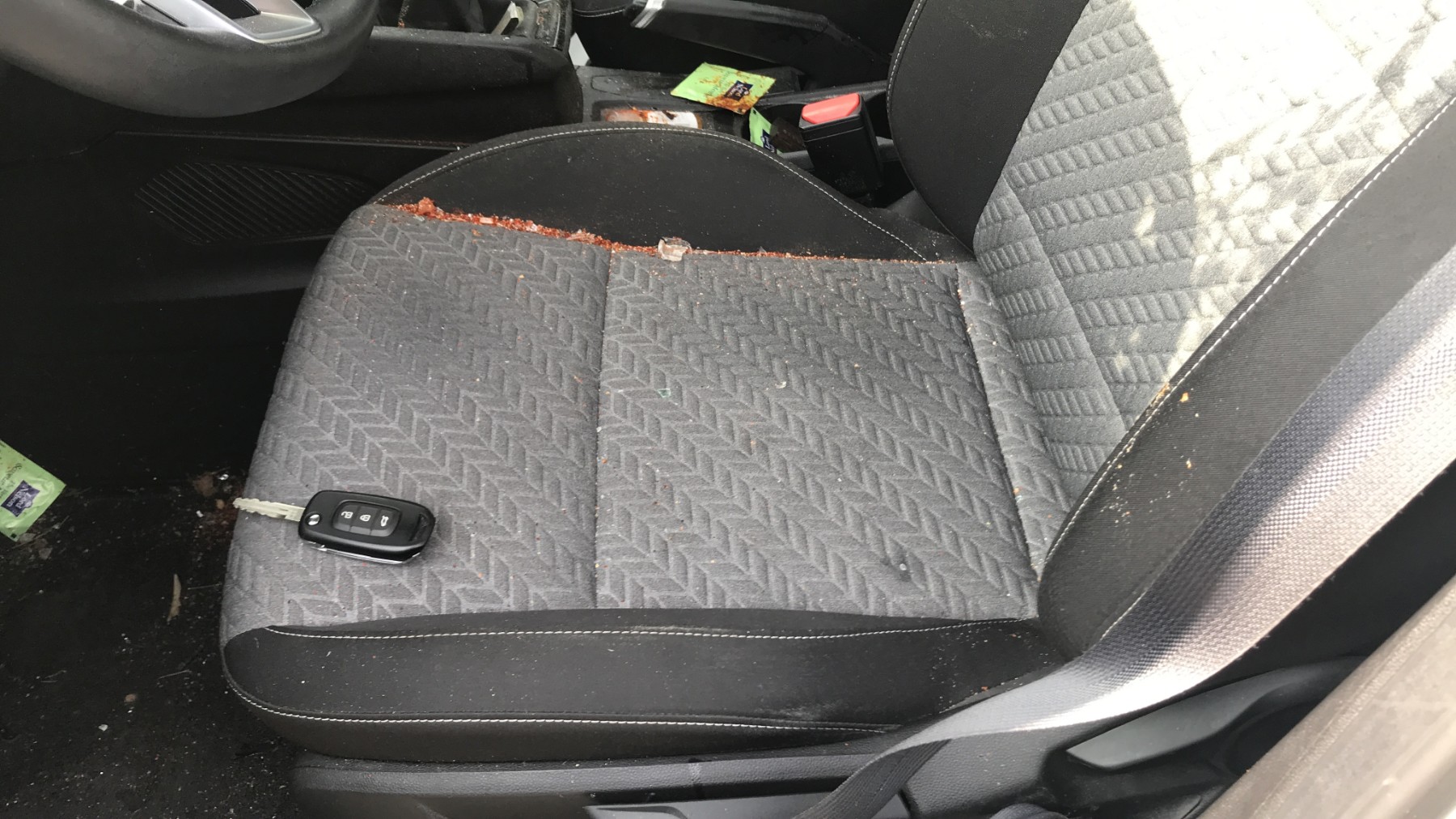 Image RENAULT CLIO 5