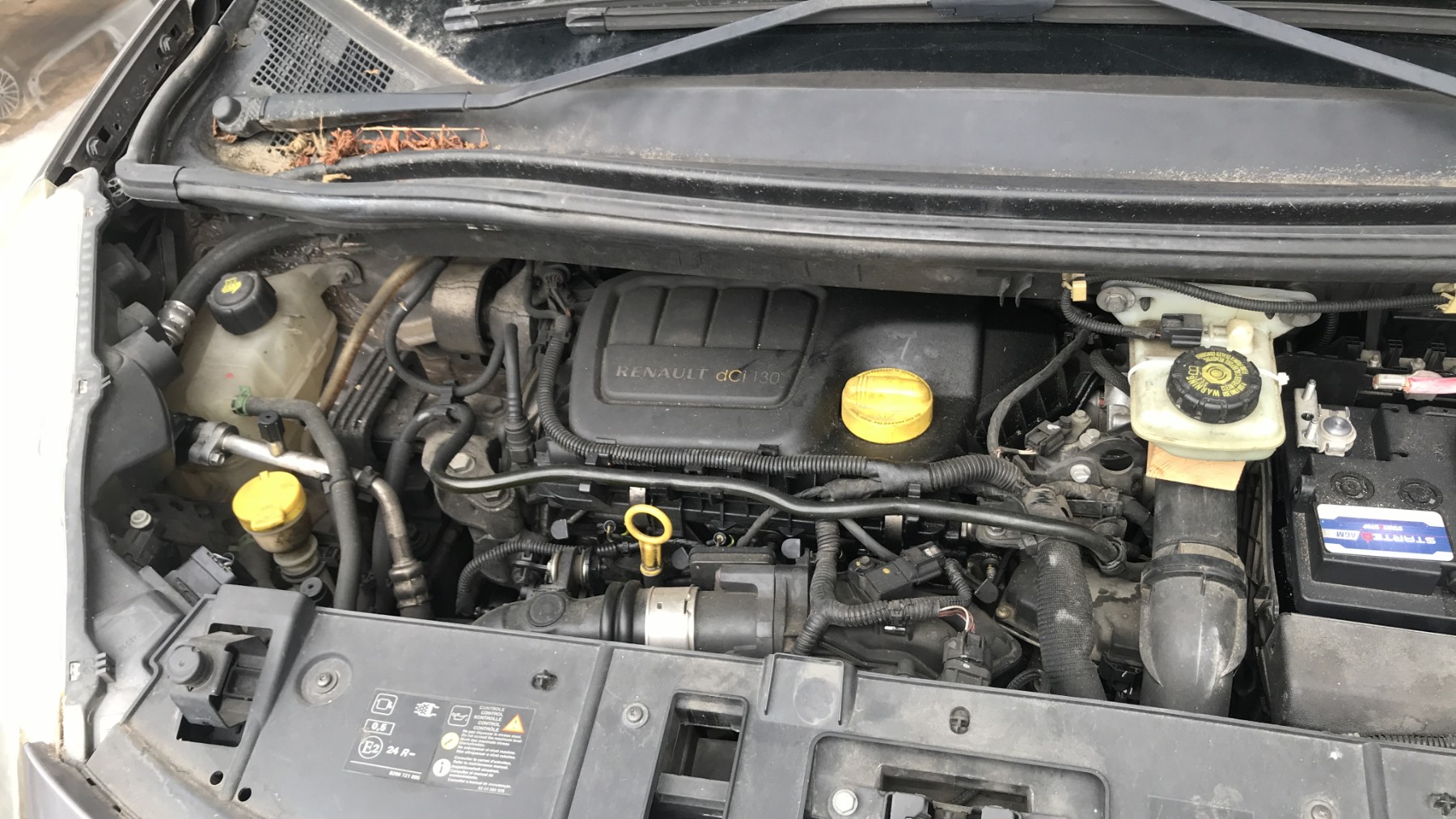 Image RENAULT SCENIC 3