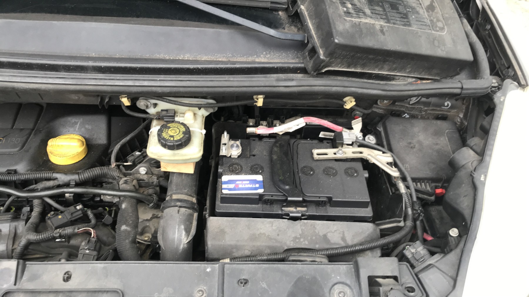 Image RENAULT SCENIC 3