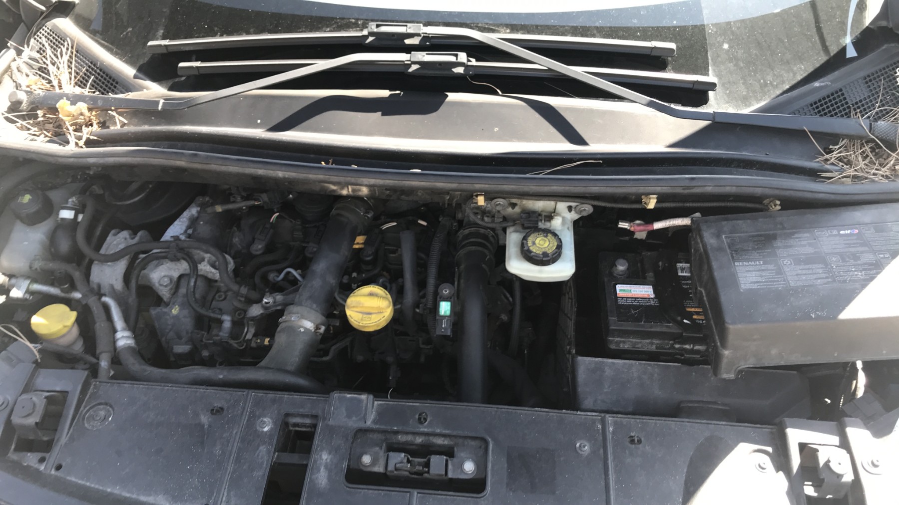 Image RENAULT SCENIC 3