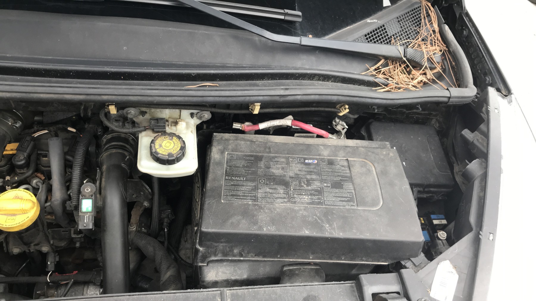 Image RENAULT SCENIC 3