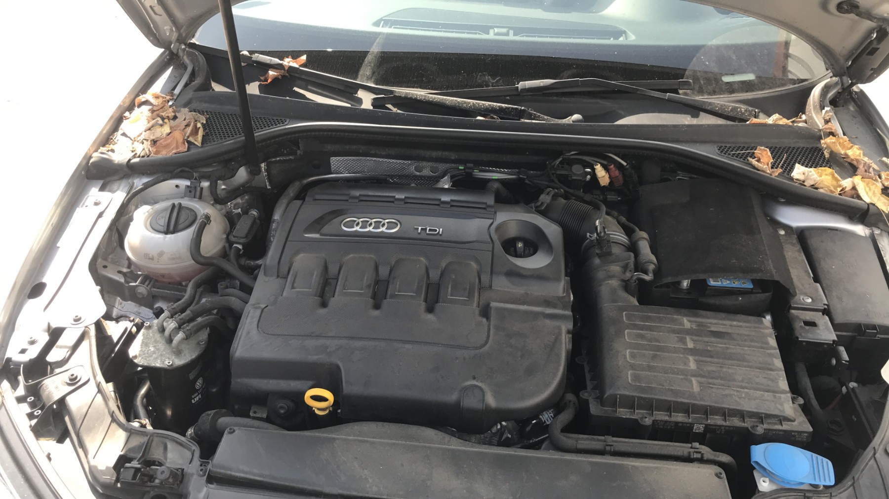 Image AUDI A3 3