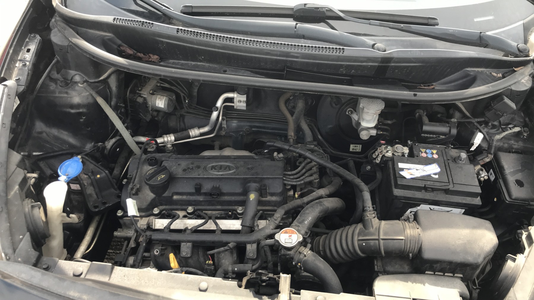 Image KIA RIO 3