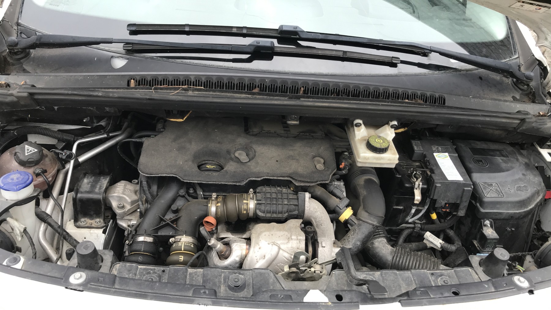 Image PEUGEOT 3008 1