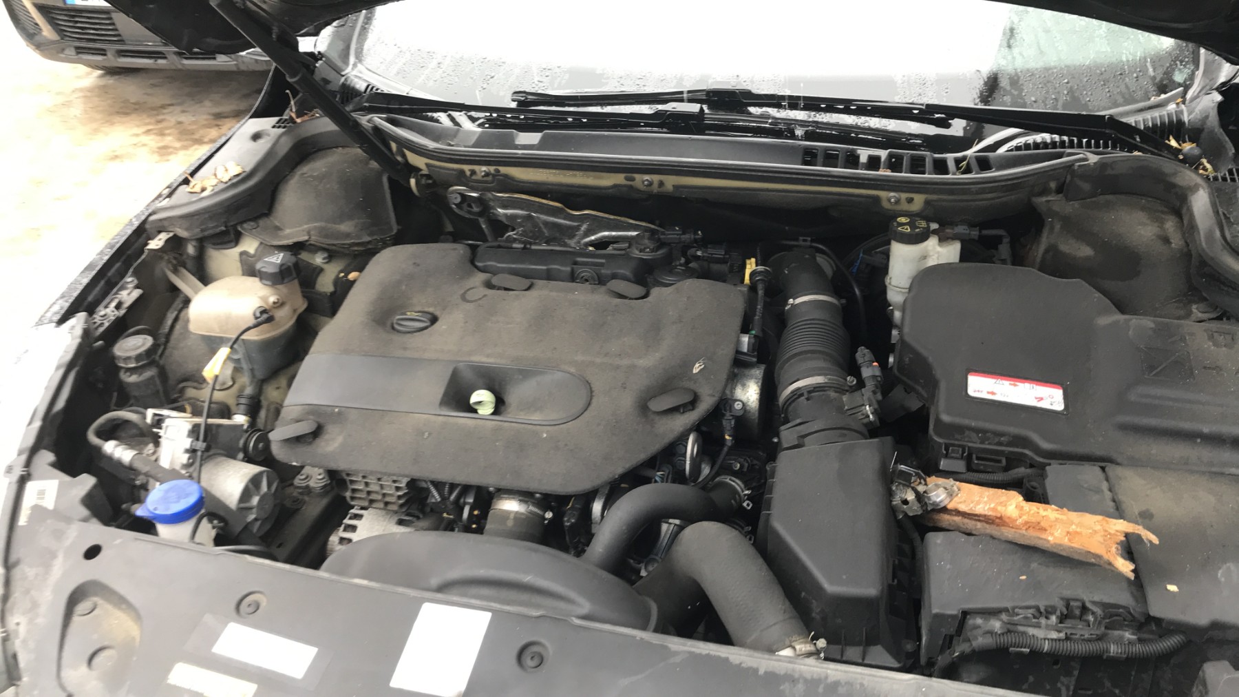 Image PEUGEOT 508 1 SW