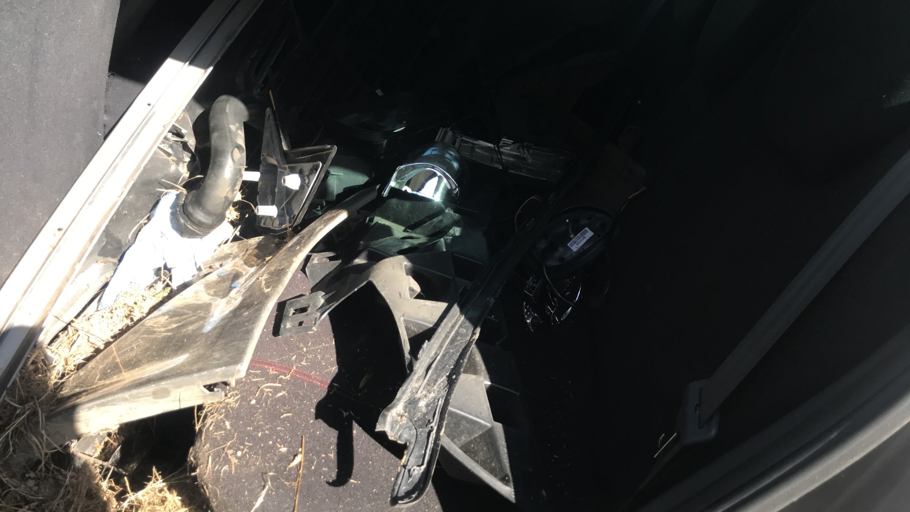 Image RENAULT GRAND MODUS
