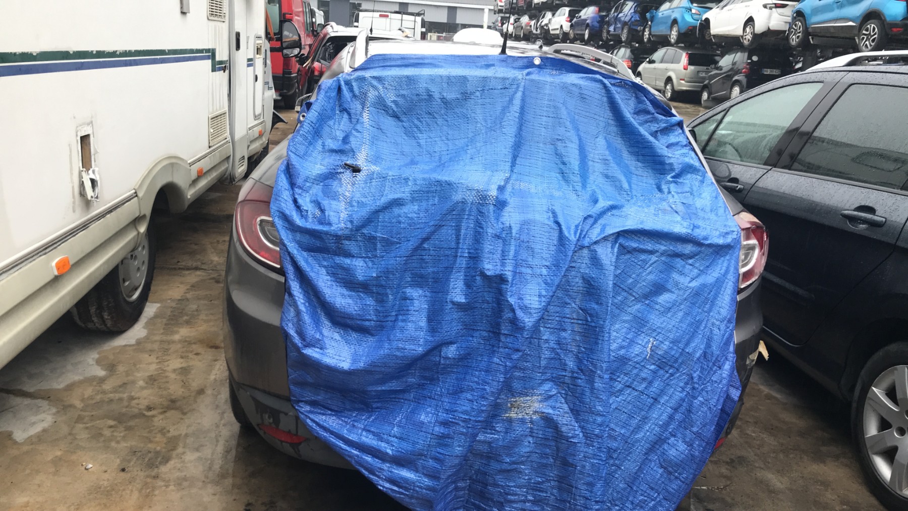 Image RENAULT MEGANE 3