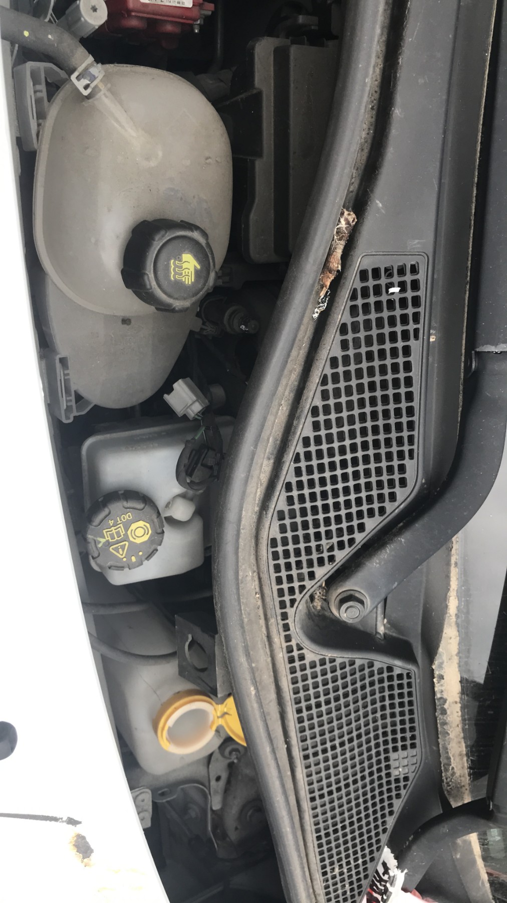 Image RENAULT TWINGO 3