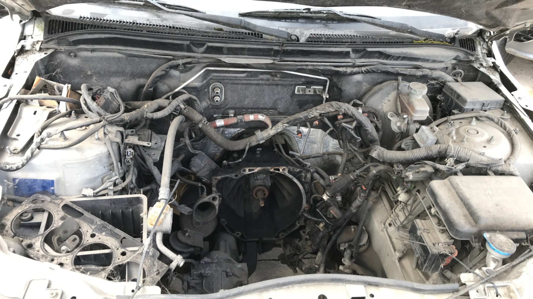 Image SUZUKI GRAND VITARA 2