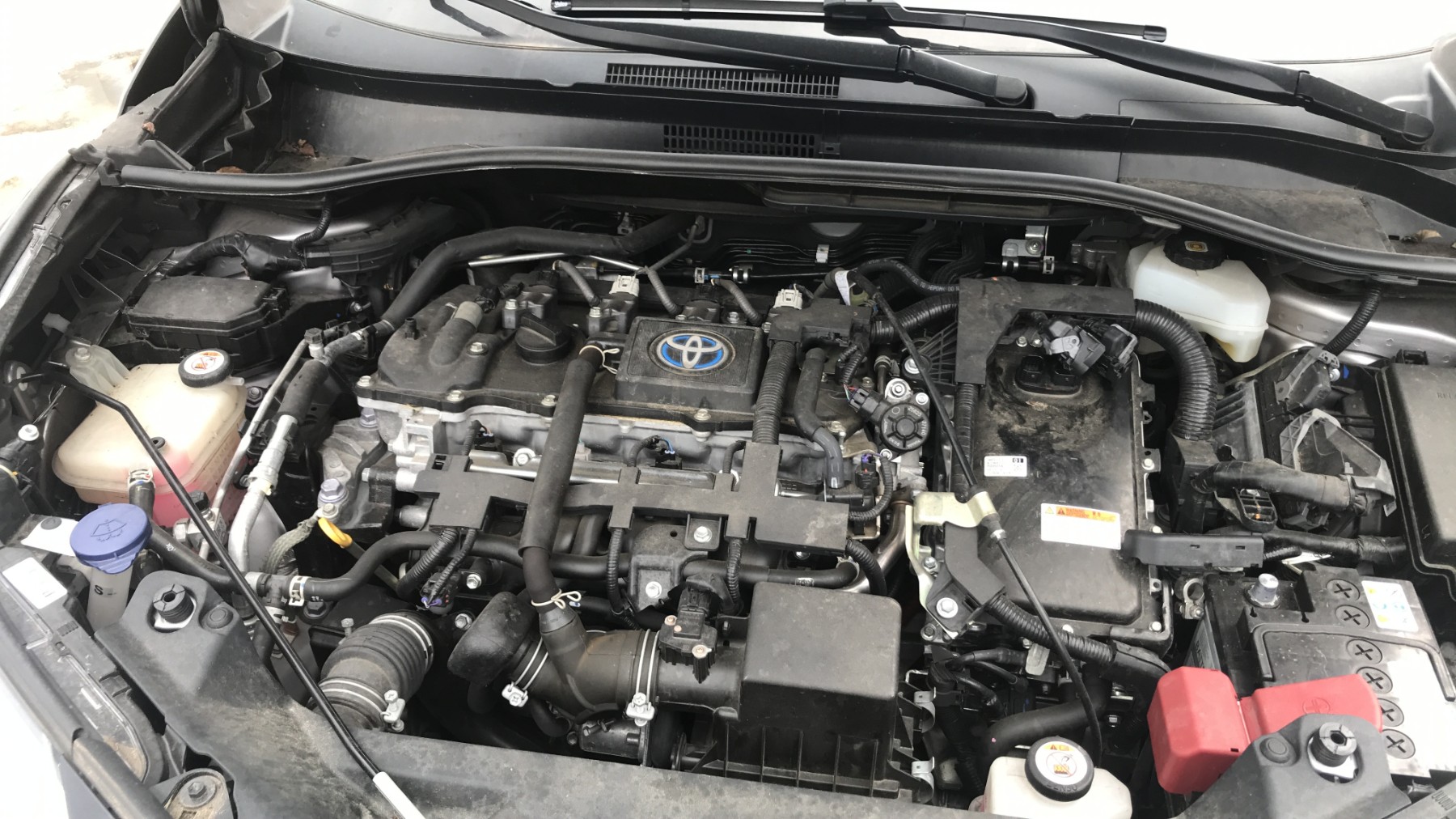 Image TOYOTA C-HR 1