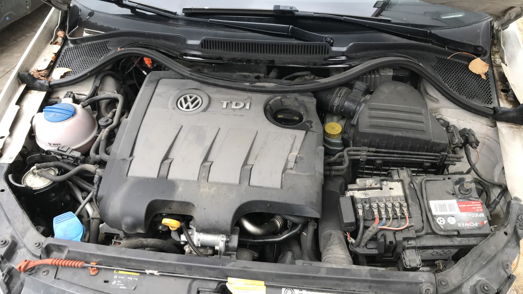 Image VOLKSWAGEN POLO 5