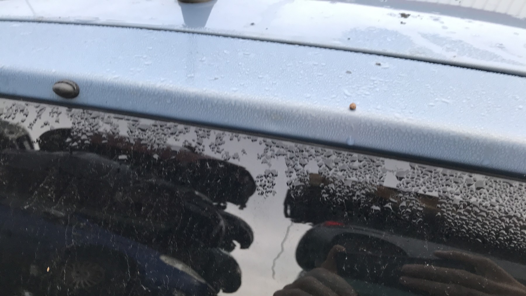 Image FIAT PANDA 2