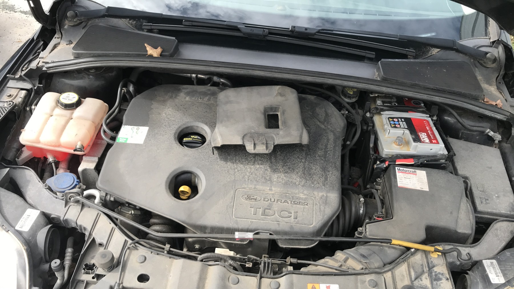Image FORD FOCUS 3
