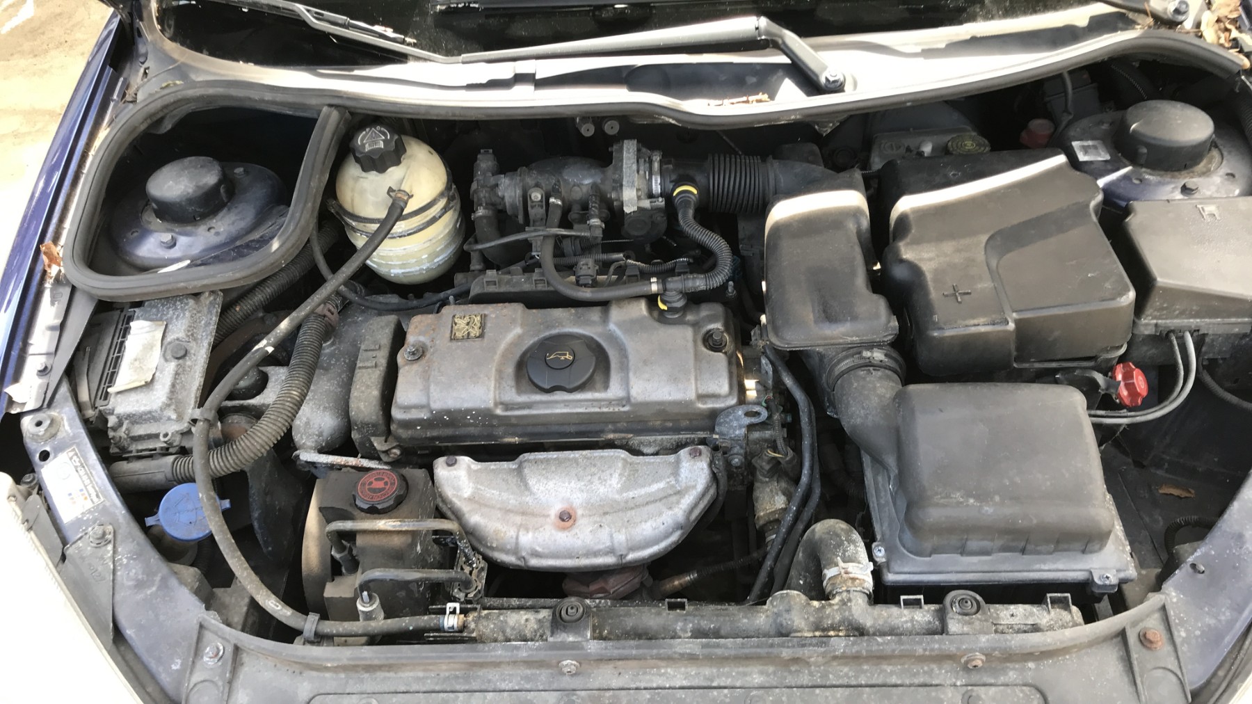Image PEUGEOT 206