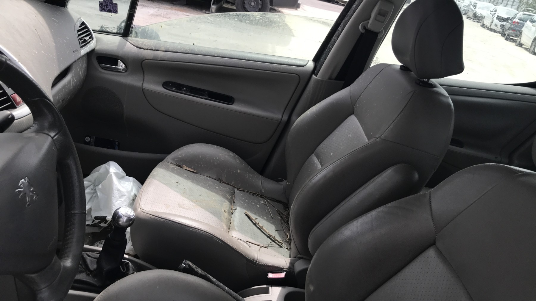 Image PEUGEOT 207